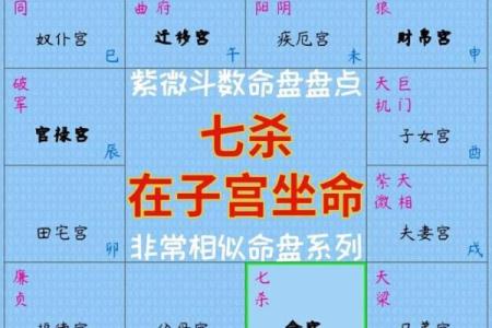 紫薇斗数结婚盘