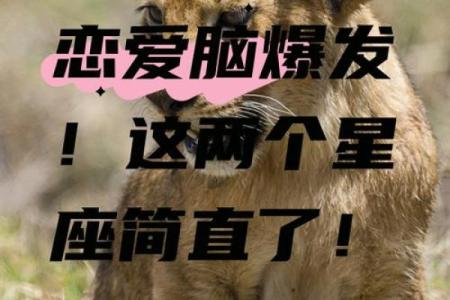 爱情里不懂浪漫的星座有哪些