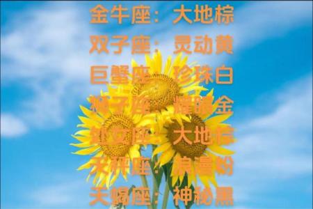 哪个星座是福泽绵绵的