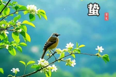 古人选择吉日为什么不选惊蛰那天,这是什么意思