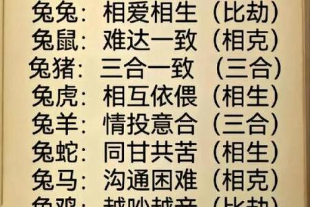 属龙和什么属相最配对 属龙和什么属相相冲