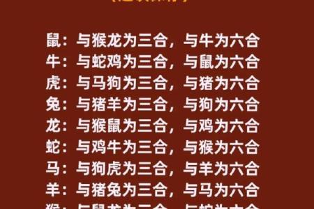生肖配对 十二生肖最佳配对表格