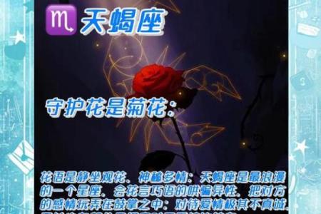 十二星座代表的守护花都有哪些呢