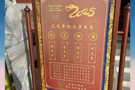求筶神杯灵签全文详解