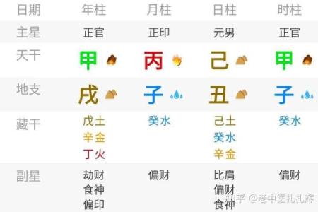 甲戌丙子己卯乙丑八字详解及运势分析