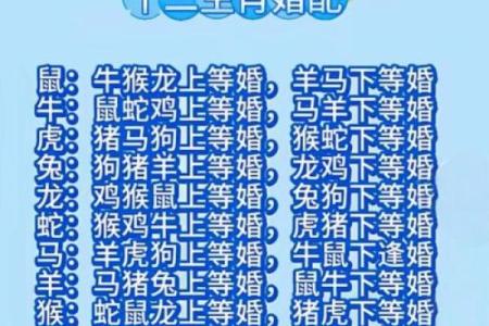 女马男蛇生肖配对姻缘