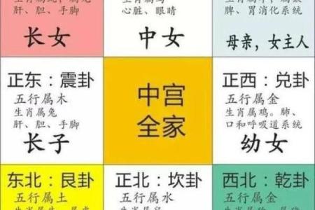 八字算命是否有出国的,八字看移民