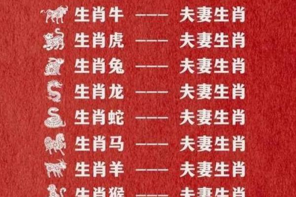 配对要谨慎的生肖组合 配对要谨慎的生肖组合