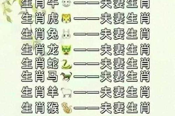 配对要谨慎的生肖组合 配对要谨慎的生肖组合