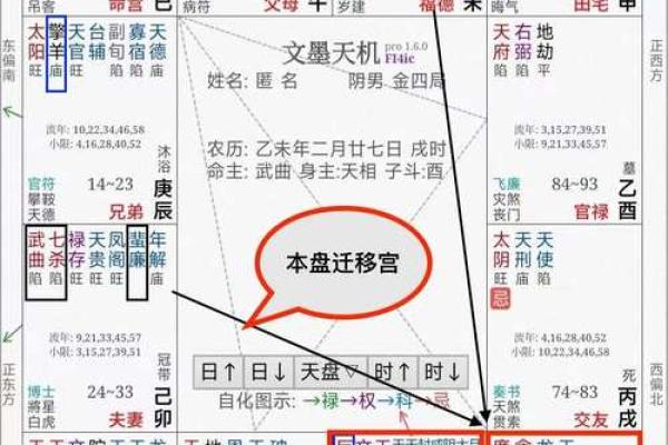 紫薇旺落疾厄宫 紫薇旺落疾厄宫