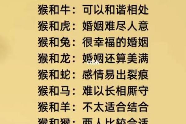 生肖配对属牛属兔的婚姻怎么样 生肖配对属牛属兔的婚姻怎么样
