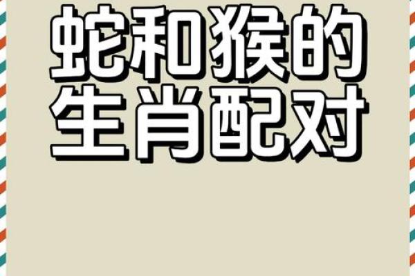 算婚姻属鼠男和属猴女八字相合吗 婚姻好吗