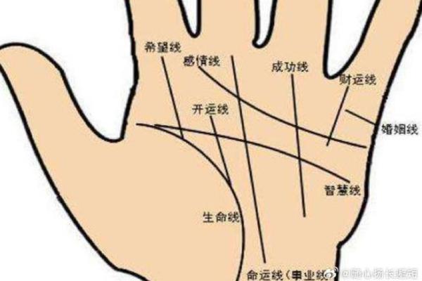 男人生命线图解,男人看手相生命线算命 男人生命线图解,男人看手相生命线算命