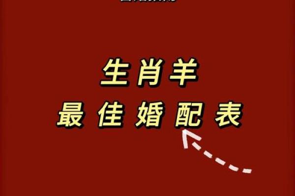 属马女性配对大揭秘:羊男VS狗男,成功婚姻密码在哪? 属马女性配对大揭秘:羊男VS狗男,成功婚姻密码在哪?