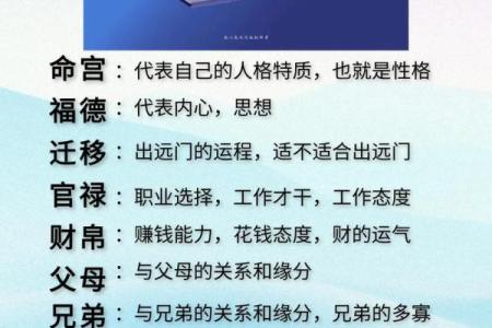 紫薇斗数几颗朱星