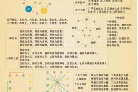 免费四柱八字排盘详解