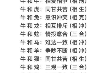 十二生肖配对表