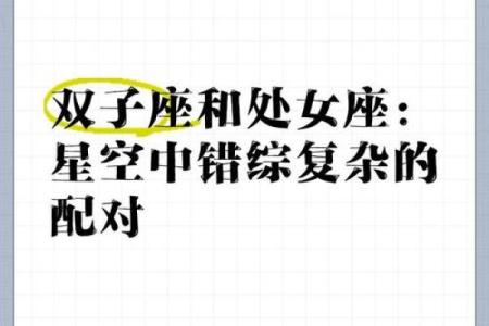 双子座和处女座婚姻配对吗