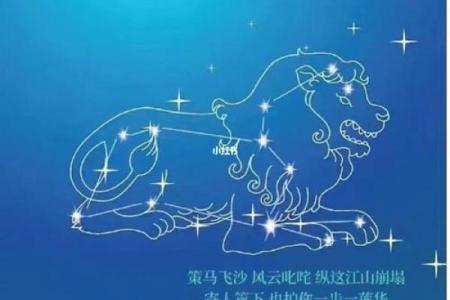 狮子座偏土象星座吗