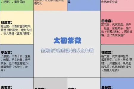 紫薇斗数怎么看以后有没有钱
