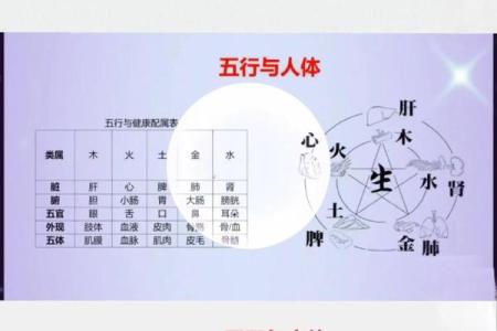 八字透出天干是什么意思