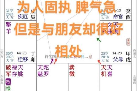 怎么看紫薇星盘的主星