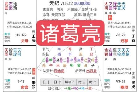 紫薇斗数阳历盘