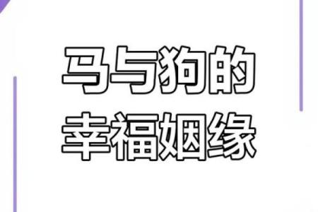 马男生配对姻缘