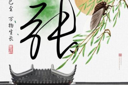 qq头像姓氏带字图片张,个性头像 姓氏张?