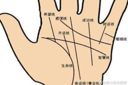 男人生命线图解,男人看手相生命线算命
