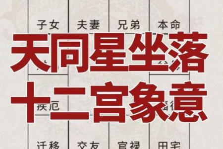 紫微斗数诸星落命宫之：禄存星、天马星详解
