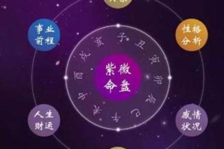 紫薇斗数中国网