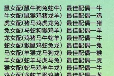 生肖名字配对姻缘 生肖取名字大全?