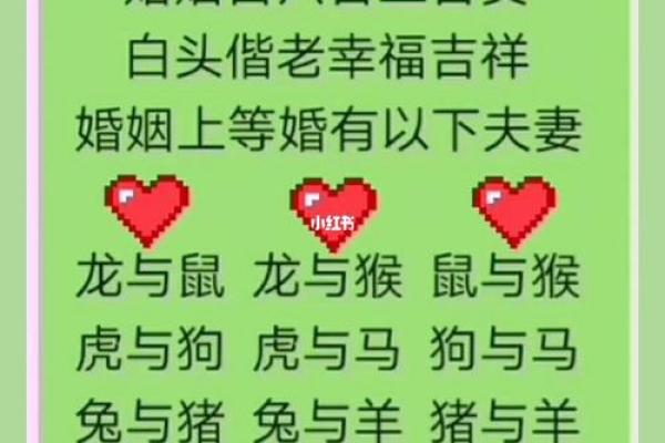 十二生肖姻缘配对生肖配对查询 十二生肖姻缘配对,12属相婚配表? 十二生肖姻缘配对生肖配对查询 十二生肖姻缘配对,12属相婚配表?