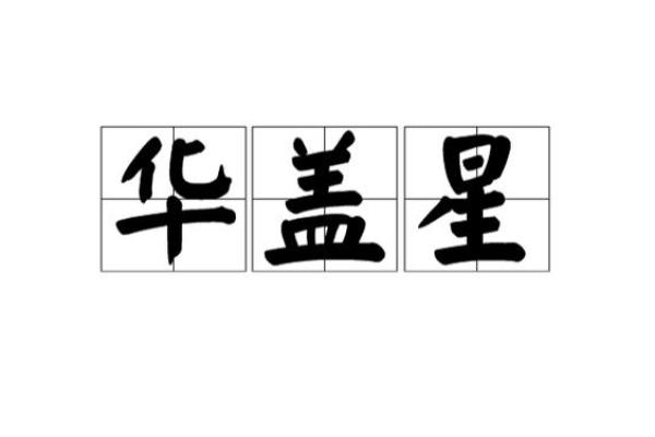 华盖星紫薇斗数 华盖星紫薇斗数