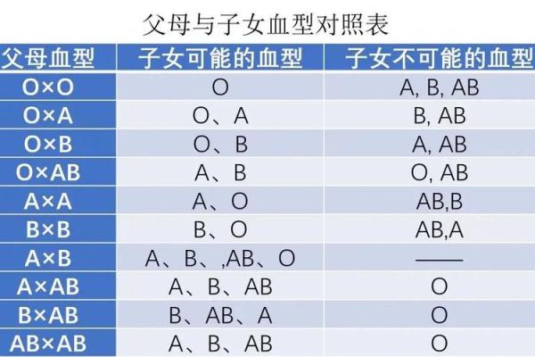 血型的搭配与夫妻关系 血型的搭配与夫妻关系