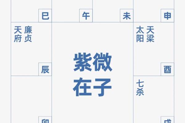 紫薇斗数陀罗文曲 紫薇斗数陀罗文曲