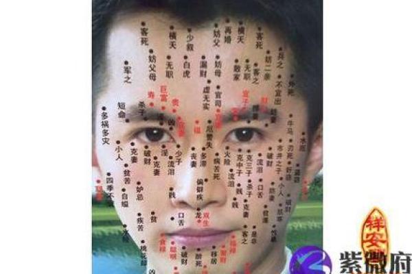天生长八字胡的男人面相分析——命运运势 天生长八字胡的男人面相分析——命运运势