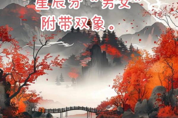 孤魂云梦紫薇斗数 孤魂云梦紫薇斗数