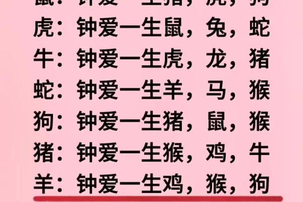 生肖查询:1996年属什么生肖配对 生肖查询:1996年属什么生肖配对