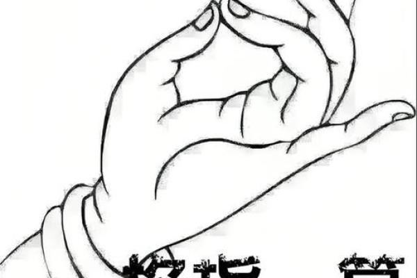 怎么给别人算命,手指如何算卦 怎么给别人算命,手指如何算卦