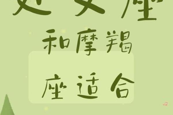 处女座和摩羯座配对指数 处女座和摩羯座配对指数