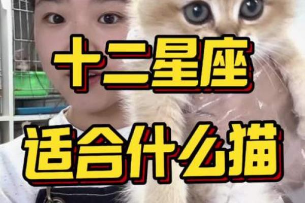 十二星座双子适合养猫狗嘛 十二星座双子适合养猫狗嘛