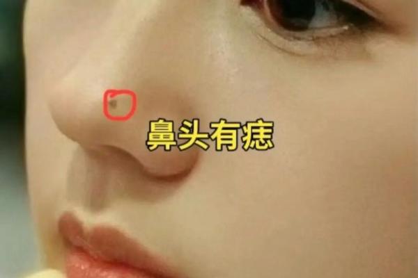 面相风水鼻头大的男人好不好是长寿命吗 面相风水鼻头大的男人好不好是长寿命吗