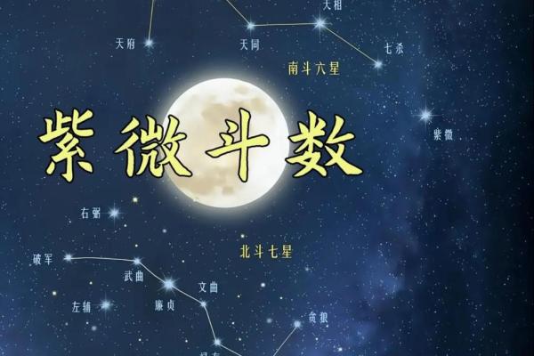 星尘紫微斗数 紫微斗数星情详解? 星尘紫微斗数 紫微斗数星情详解?