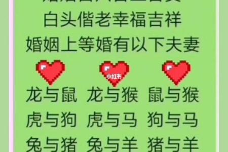 十二生肖姻缘配对生肖配对查询 十二生肖姻缘配对,12属相婚配表?