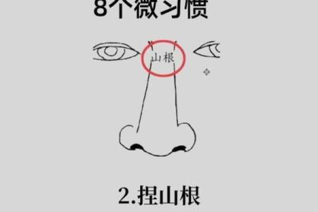 算命中鼻头大好吗