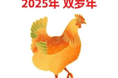 属鸡是哪一年出生的 属鸡的男孩出生吉日
