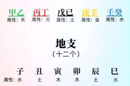 生辰八字交运时间查询免费 如何免费查询我的生辰八字交运时间