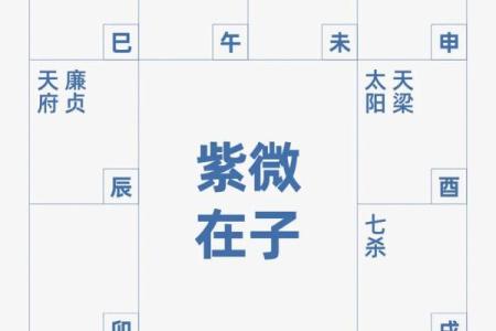 紫薇斗数陀罗文曲